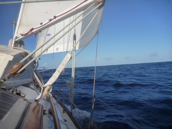 Into the Infinite Blue