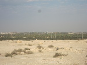 Green Oasis of Dhahran Camp from a nearby hill