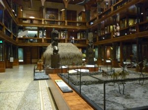 Bishop Museum's Main Hall