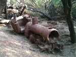 Turn of century cane haul train recently discovered in&nbsp;Keomuku