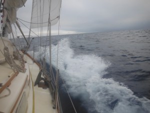 Around 40N--it's starting to get cold.