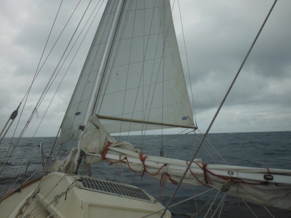 Running under poled-out jib only.